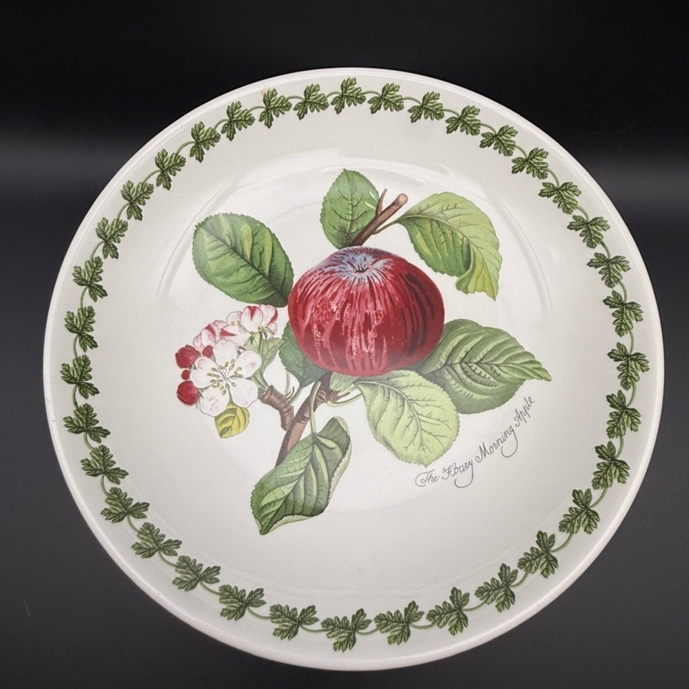 Vtg Portmeirion Pomona Fruit Hoary Morning Apple 10.5" Pasta Bowl Floral Trim